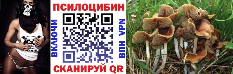 Галлюциногенные грибы Psilocybe Азов