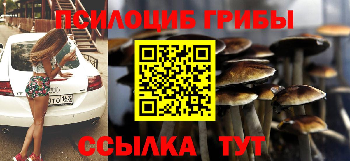 Псилоцибиновые грибы Psilocybine cubensis  Вход с VPN  Азов 